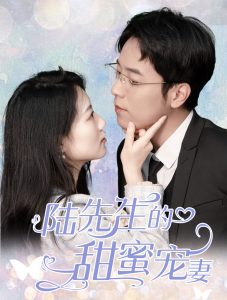 陆先生的甜蜜宠妻 第13集